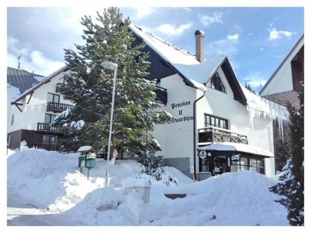 U Bernardyna Hotel Harrachov Exterior foto